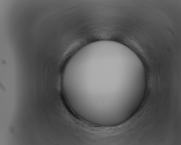 X0000091100023200708061032