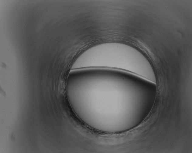 X0000091100025200708061032