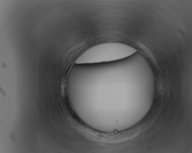 X0000091100026200708061032