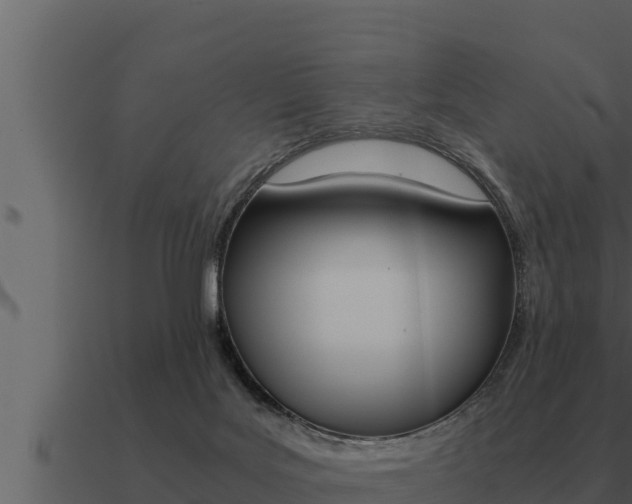 X0000091100027200708061032