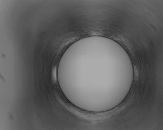 X0000091100028200708061032