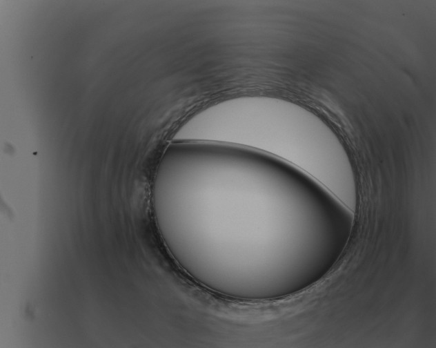 X0000091100029200708061032