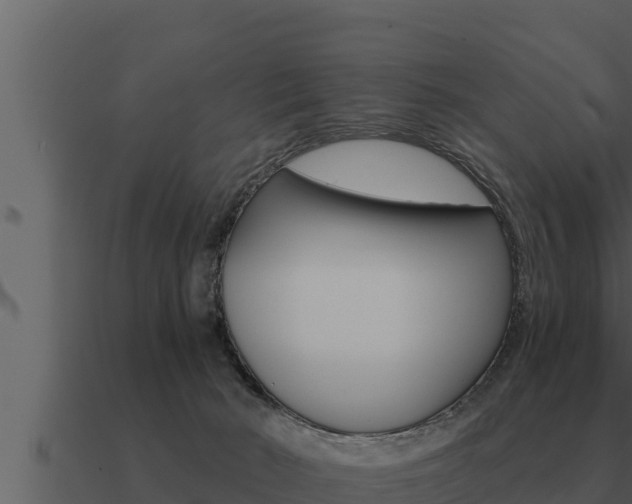 X0000091100030200708061032