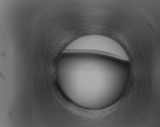 X0000091100031200708061032