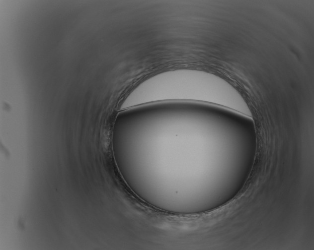 X0000091100033200708061032