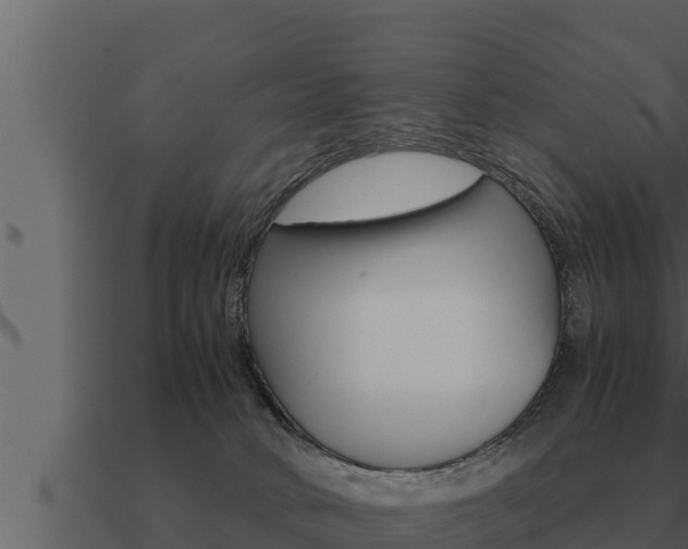 X0000091100034200708061032