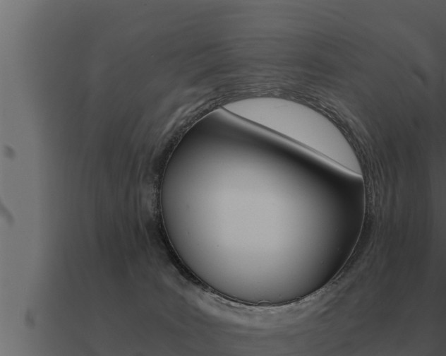 X0000091100035200708061032