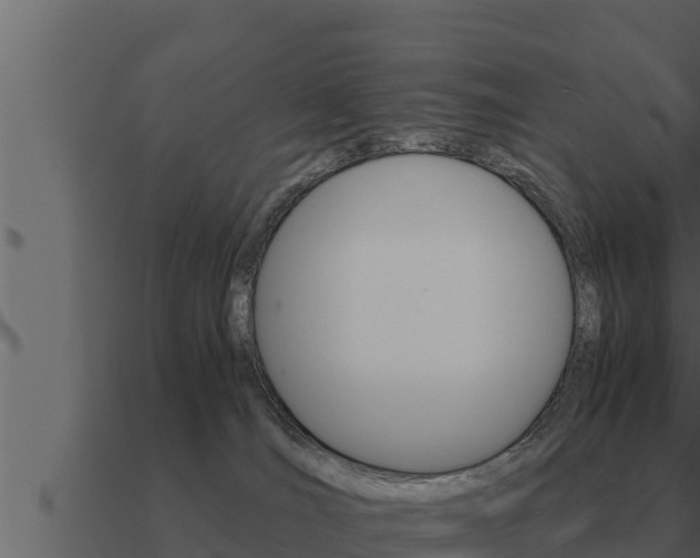 X0000091100036200708061032