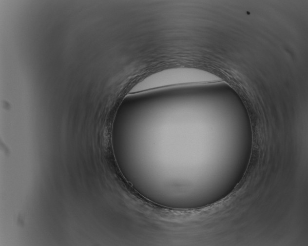 X0000091100037200708061032