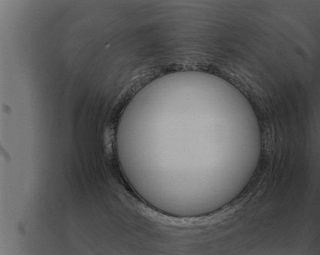 X0000091100038200708061032