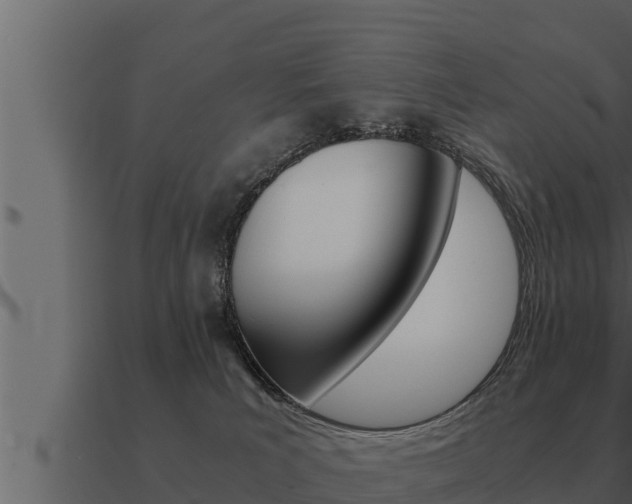 X0000091100039200708061032