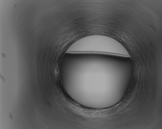 X0000091100040200708061032