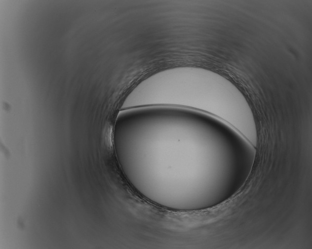 X0000091100041200708061032