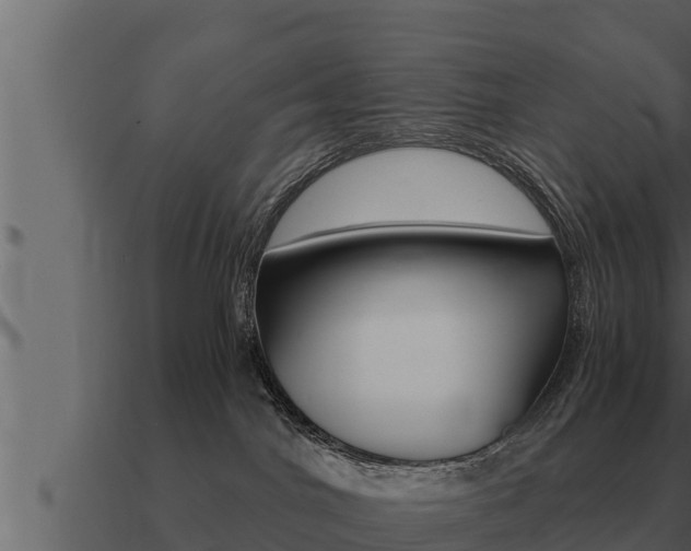 X0000091100044200708061032