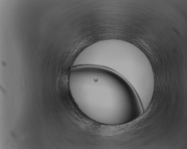 X0000091100045200708061032