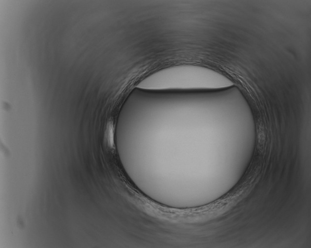 X0000091100046200708061032