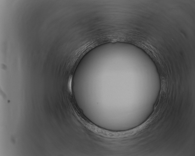 X0000091100047200708061032