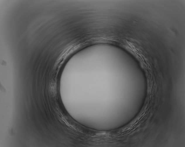 X0000091100050200708061031