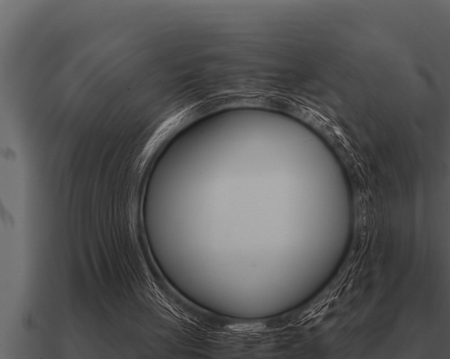 X0000091100051200708061031