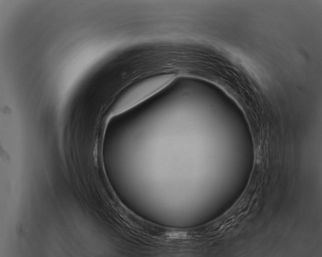 X0000091100052200708061031