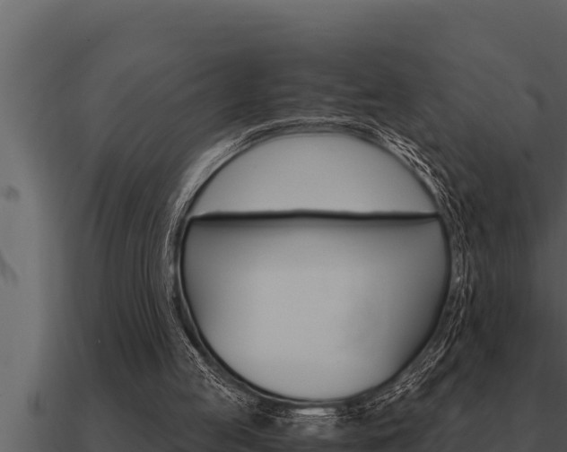 X0000091100053200708061031