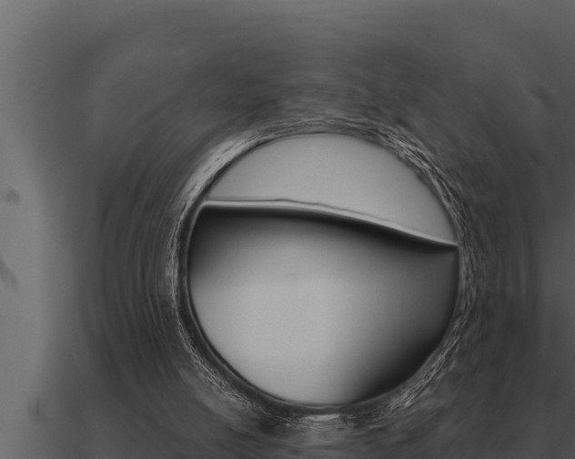 X0000091100054200708061031