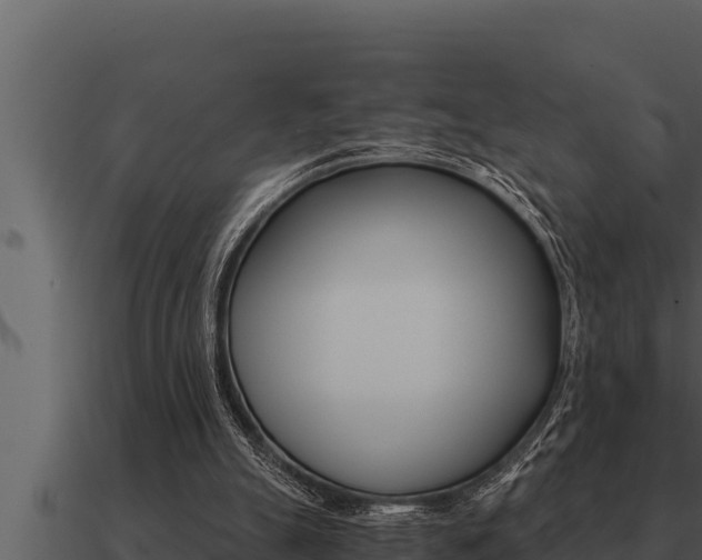 X0000091100055200708061031