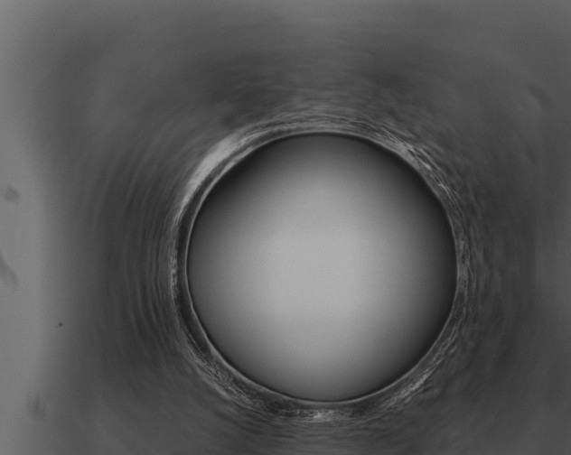 X0000091100056200708061031