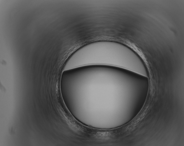 X0000091100057200708061031