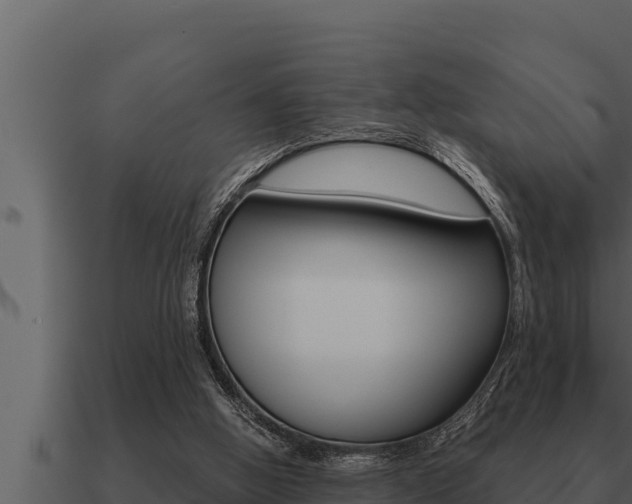 X0000091100058200708061031