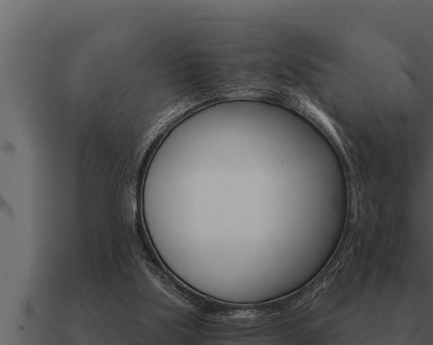 X0000091100059200708061031