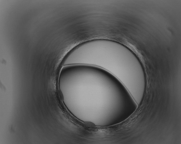 X0000091100060200708061031