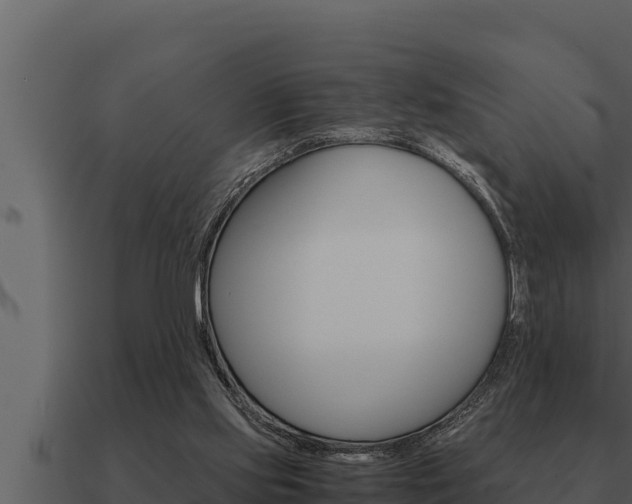 X0000091100061200708061031