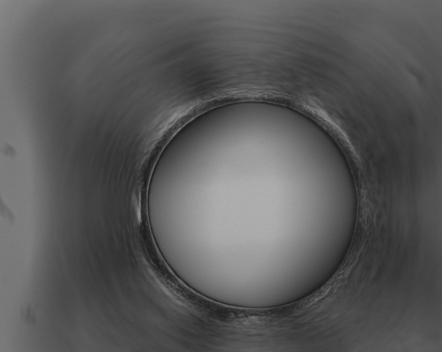 X0000091100062200708061031