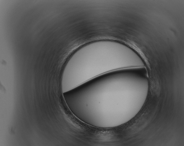 X0000091100063200708061031