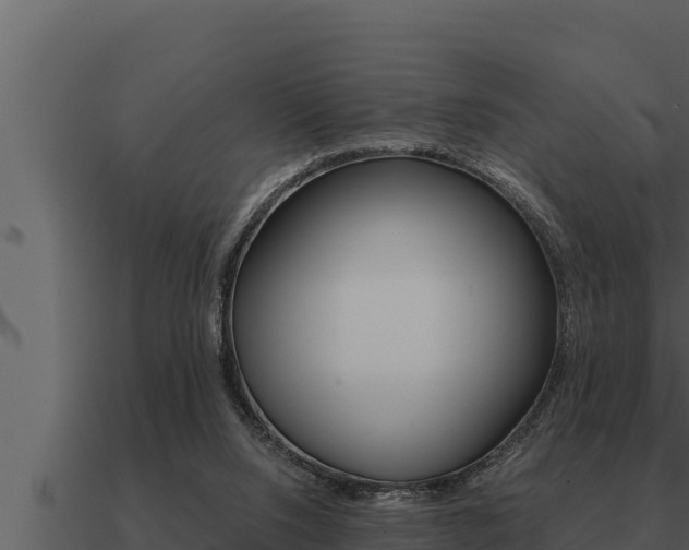 X0000091100064200708061031