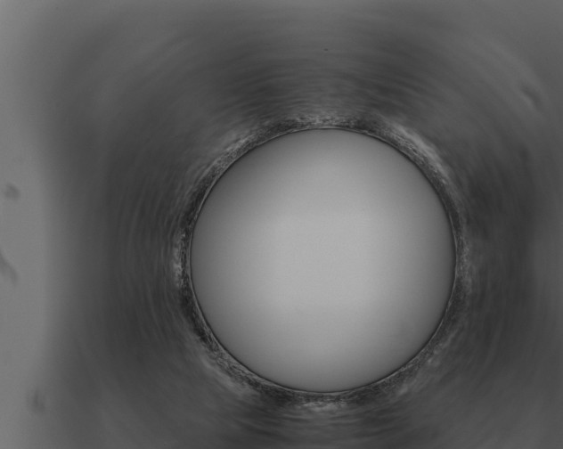 X0000091100065200708061031