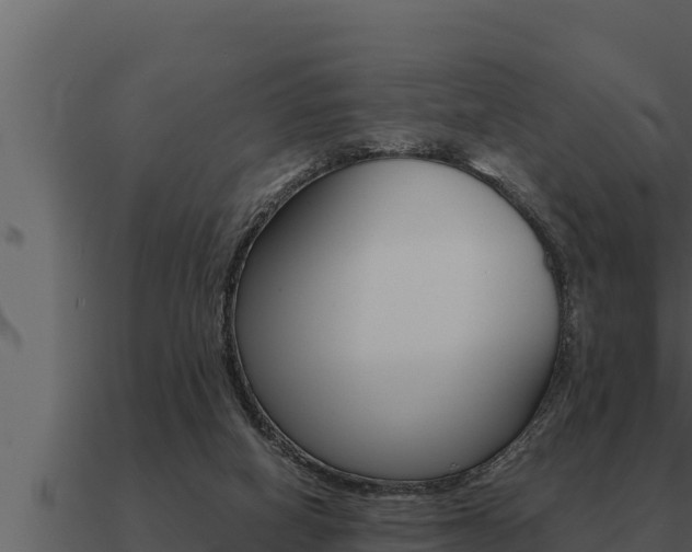 X0000091100066200708061031