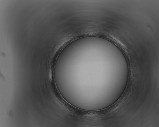 X0000091100067200708061031