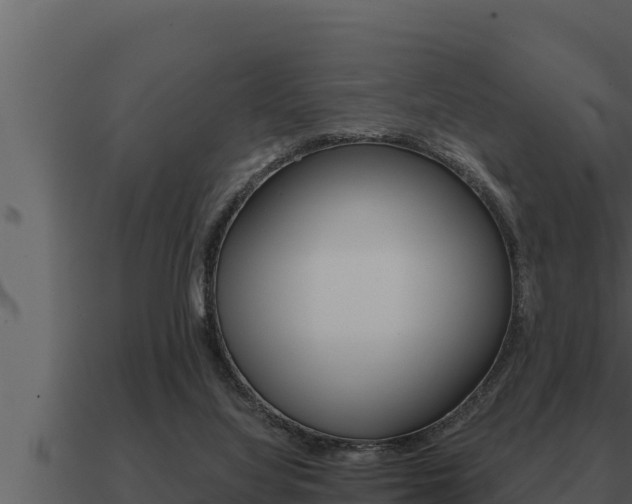 X0000091100068200708061031