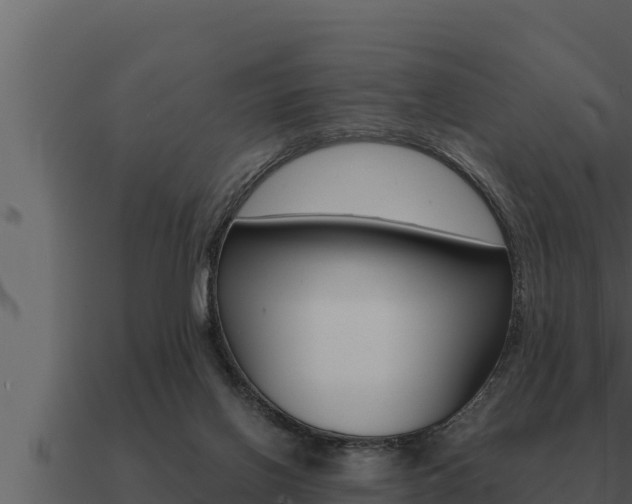 X0000091100070200708061031