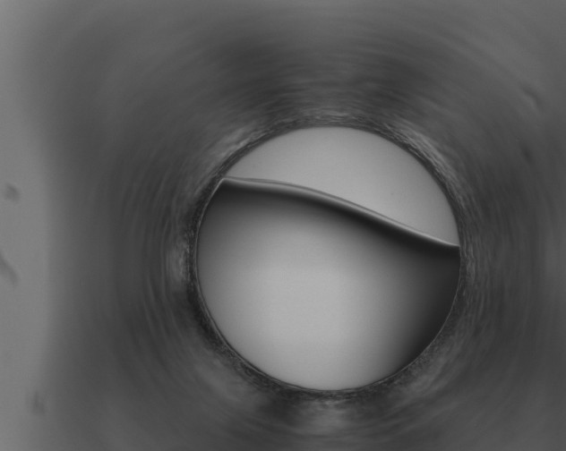 X0000091100071200708061031