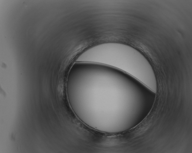 X0000091100072200708061031