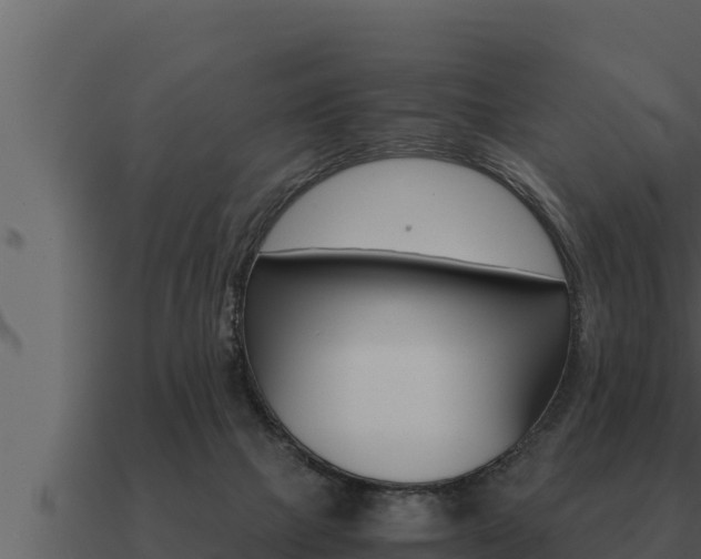 X0000091100073200708061031