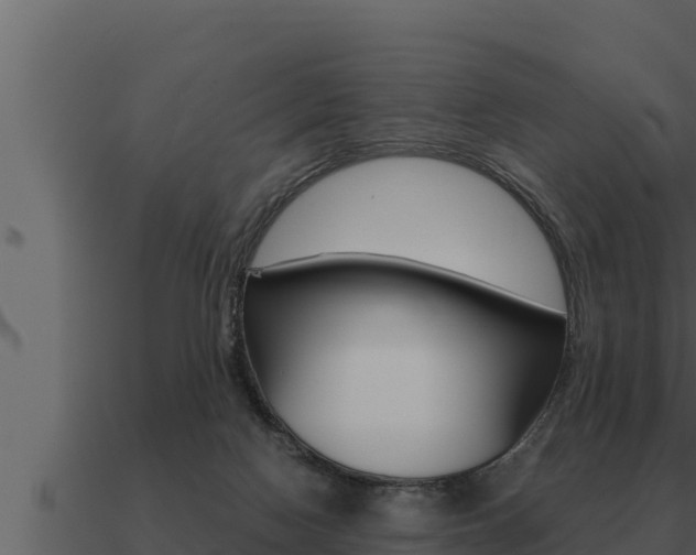 X0000091100074200708061031