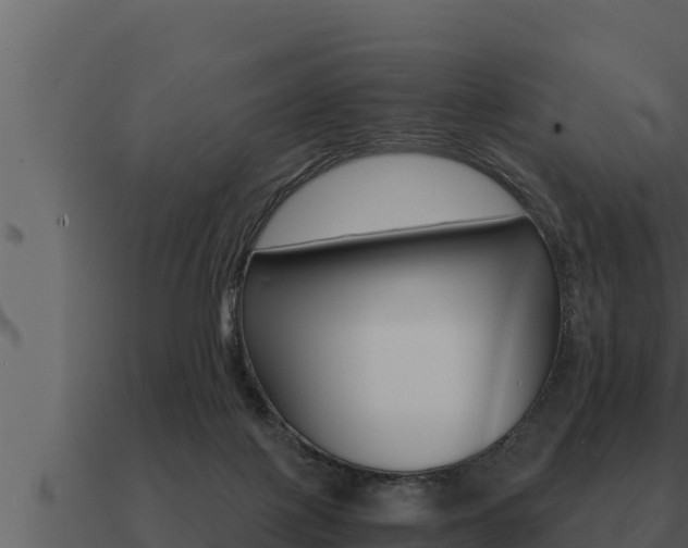 X0000091100075200708061031