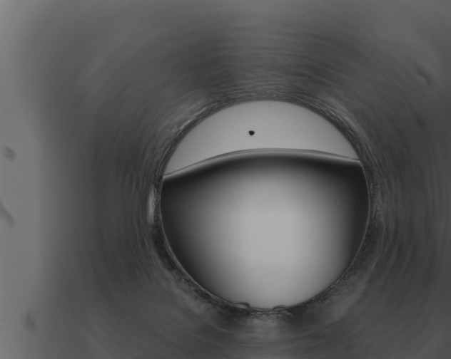 X0000091100076200708061031