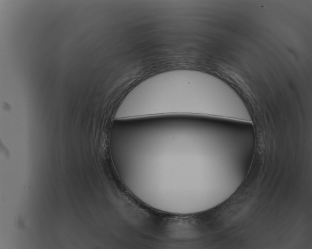 X0000091100077200708061031