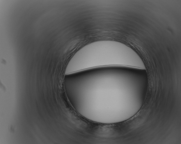 X0000091100078200708061031