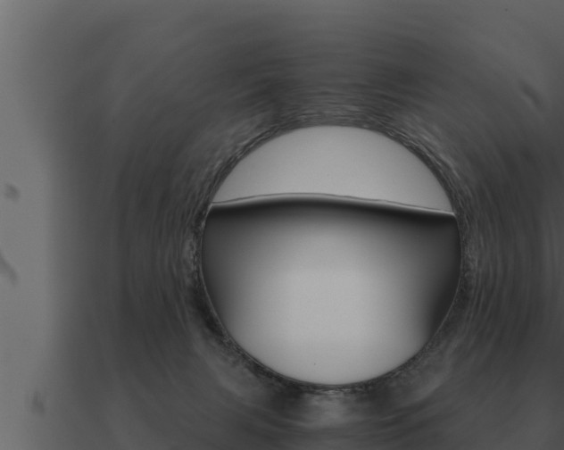 X0000091100079200708061032